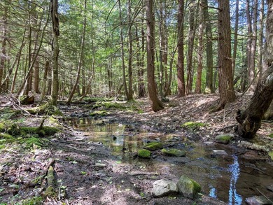Over 25 acres of mostly flat land in a very low-traffic, quiet - photo 14