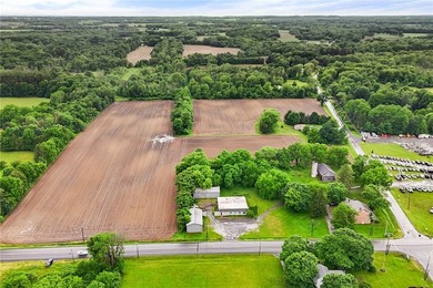 A truly rare and versatile offering in the heart of Ontario - photo 15