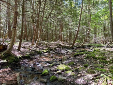 Over 25 acres of mostly flat land in a very low-traffic, quiet - photo 15