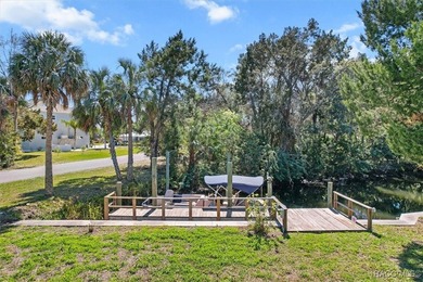 Price REDUCED! Wait till you see this beautiful elevated home on - photo 15