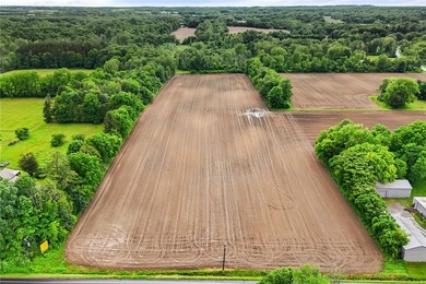 A truly rare and versatile offering in the heart of Ontario - photo 17