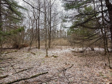 Over 25 acres of mostly flat land in a very low-traffic, quiet - photo 17