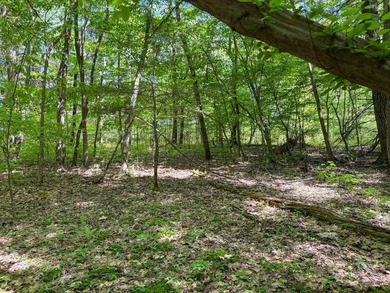 Over 25 acres of mostly flat land in a very low-traffic, quiet - photo 18