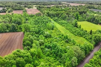 A truly rare and versatile offering in the heart of Ontario - photo 19