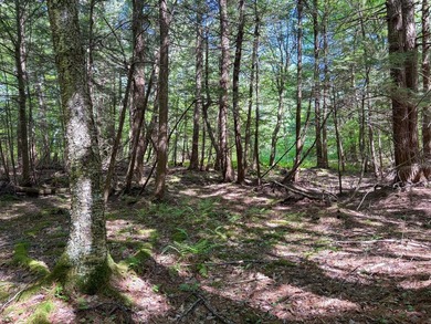 Over 25 acres of mostly flat land in a very low-traffic, quiet - photo 19