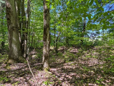 Over 25 acres of mostly flat land in a very low-traffic, quiet - photo 20
