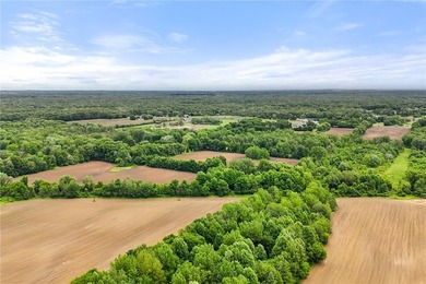 A truly rare and versatile offering in the heart of Ontario - photo 21