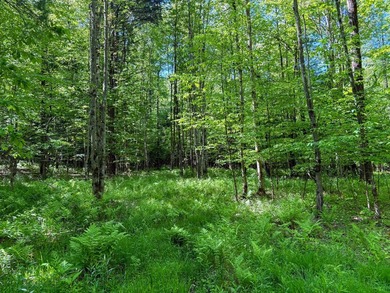 Over 25 acres of mostly flat land in a very low-traffic, quiet - photo 21