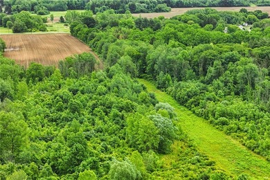 A truly rare and versatile offering in the heart of Ontario - photo 22