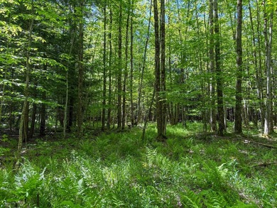 Over 25 acres of mostly flat land in a very low-traffic, quiet - photo 22