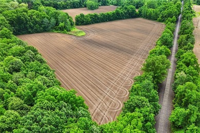 A truly rare and versatile offering in the heart of Ontario - photo 23
