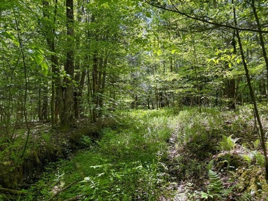 Over 25 acres of mostly flat land in a very low-traffic, quiet - photo 23