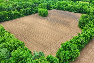 A truly rare and versatile offering in the heart of Ontario - photo 24