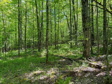 Over 25 acres of mostly flat land in a very low-traffic, quiet - photo 24