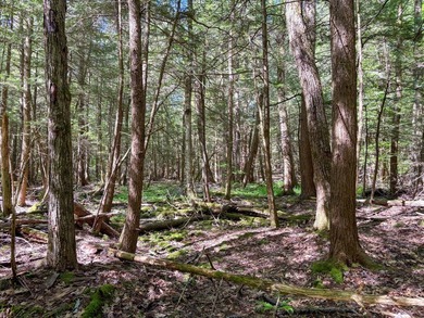 Over 25 acres of mostly flat land in a very low-traffic, quiet - photo 25