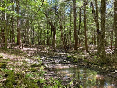 Over 25 acres of mostly flat land in a very low-traffic, quiet - photo 26