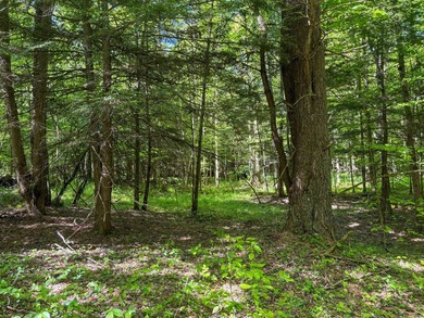 Over 25 acres of mostly flat land in a very low-traffic, quiet - photo 27