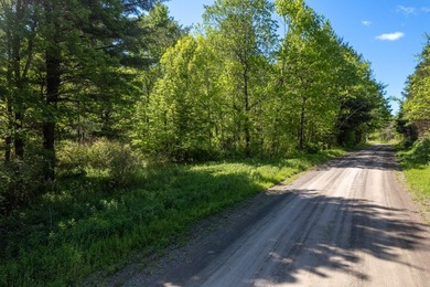 Over 25 acres of mostly flat land in a very low-traffic, quiet - photo 28