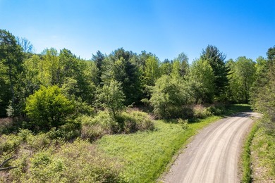 Over 25 acres of mostly flat land in a very low-traffic, quiet - photo 29