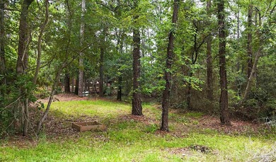 Embrace the true coastal lifestyle at this rare Gulf Shores home - photo 32