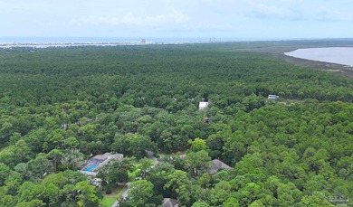 Embrace the true coastal lifestyle at this rare Gulf Shores home - photo 37