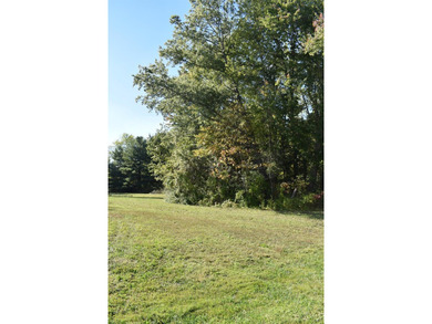 Unique opportunity to build the house of your dreams at Lake - photo 4