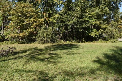 Unique opportunity to build the house of your dreams at Lake - photo 6