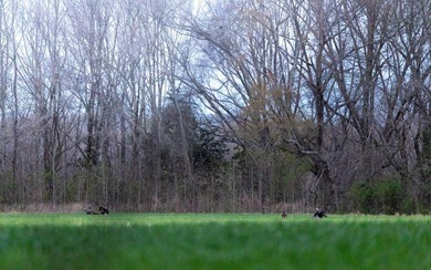 Oakhurst sits in the heart of Mississippi's Bluff Hills soil - photo 8