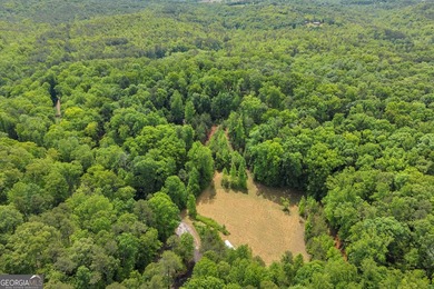 Discover the potential of this 7.91-acre residential tract in - photo 1