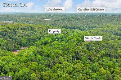 Discover the potential of this 7.91-acre residential tract in - photo 3