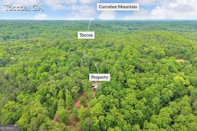 Discover the potential of this 7.91-acre residential tract in - photo 4