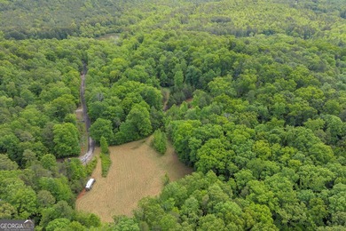 Discover the potential of this 7.91-acre residential tract in - photo 6