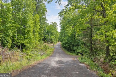 Discover the potential of this 7.91-acre residential tract in - photo 9