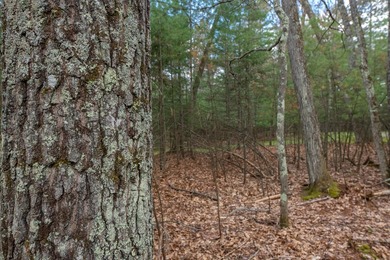 Set your roots in the storied setting of Eagle Waters Resort - photo 11
