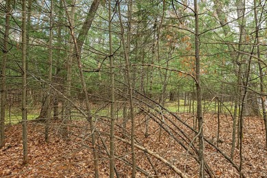 Set your roots in the storied setting of Eagle Waters Resort - photo 12