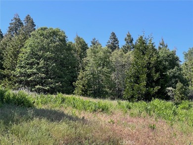 28879 Sycamore Dr - photo 12