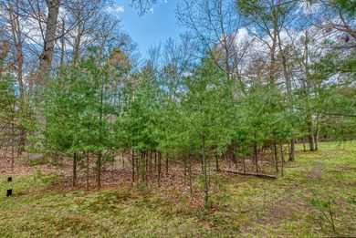 Set your roots in the storied setting of Eagle Waters Resort - photo 13
