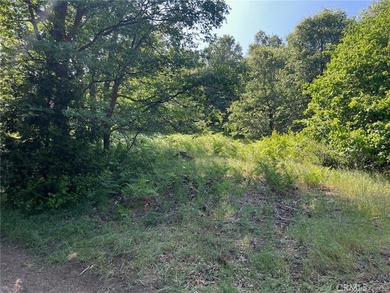28879 Sycamore Dr - photo 13