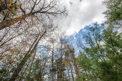 Set your roots in the storied setting of Eagle Waters Resort - photo 14