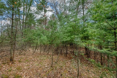 Set your roots in the storied setting of Eagle Waters Resort - photo 15