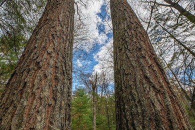 Set your roots in the storied setting of Eagle Waters Resort - photo 16