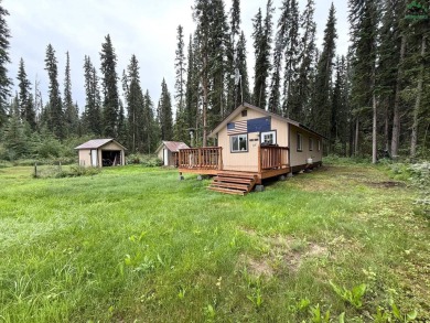 Lake Home For Sale in Nenana, Alaska