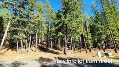 Whitefish Lake Lot For Sale in Whitefish Montana