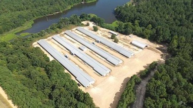 (private lake, pond, creek) Acreage For Sale in Rosston Arkansas