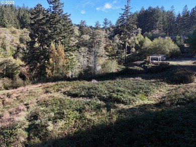Build your dream home on this beautiful 1.83-acre parcel located - photo 7