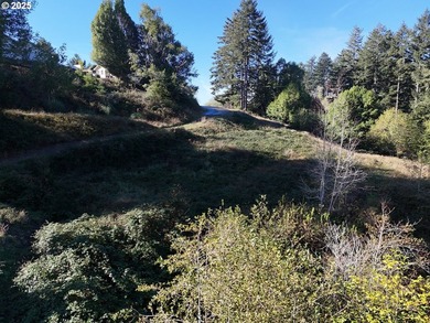 Build your dream home on this beautiful 1.83-acre parcel located - photo 10