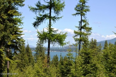 Lake Lot For Sale in Harrison, Idaho
