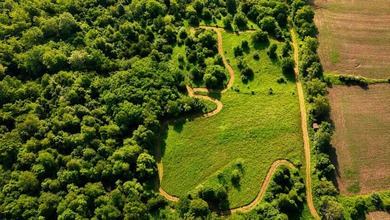 A rare opportunity to own an exceptional 247-acre legacy farm - photo 8