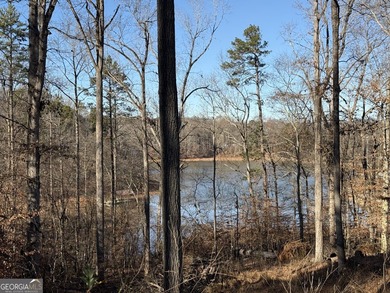 Lake Hartwell Lot For Sale in Lavonia Georgia