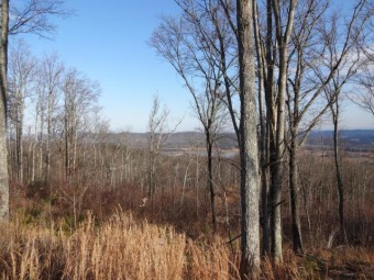 Lake Lot Off Market in Bean Station, Tennessee